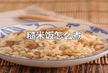 糙米饭怎么煮