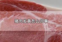 猪肉发黄怎么回事