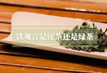 铁观音是红茶还是绿茶