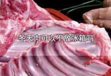 冬天肉可以不放冰箱吗