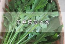 芝麻菜怎么吃