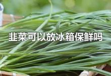 韭菜可以放冰箱保鲜吗