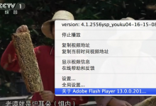 苹果电脑如何查看Mac版Flash Player的版本号