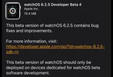 苹果推送watchOS6.2.5开发者预览版Beta4 侧重于错误修复与内部改进