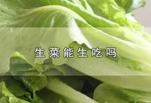 生菜能生吃吗