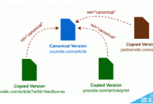 怎么解决网站重复收录的问题? Canonical标签解决重复内容收录的技巧