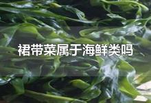 裙带菜属于海鲜类吗