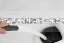 鞋刷子掉进马桶里用什么方法弄出来