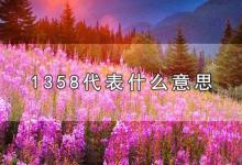 1358代表什么意思