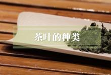 茶叶的种类