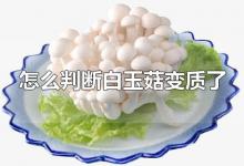 怎么判断白玉菇变质了