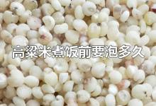 高粱米煮饭前要泡多久