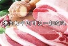 猪肉和牛肉可以一起吃吗