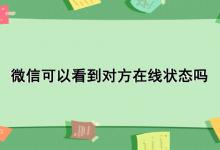 微信可以看到对方在线状态吗