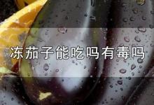 冻茄子能吃吗有毒吗