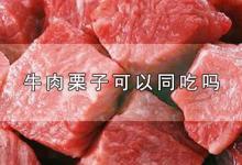 牛肉栗子可以同吃吗