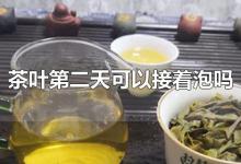 茶叶第二天可以接着泡吗