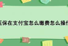 医保在支付宝怎么缴费怎么操作