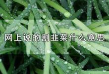 网上说的割韭菜什么意思