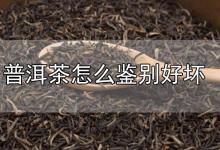 普洱茶怎么鉴别好坏