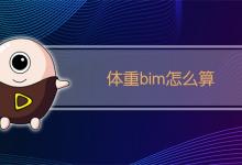 体重bim怎么算