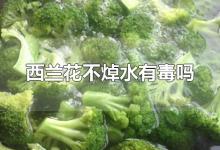 西兰花不焯水有毒吗