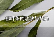 柳叶茶的功效与禁忌