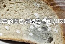 发霉的面包去掉霉点可以吃吗