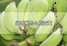 绿香蕉怎么能变黄