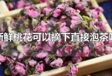 新鲜桃花可以摘下直接泡茶吗