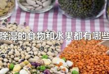 除湿的食物和水果都有哪些