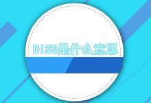 diss是什么意思中文