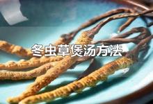 冬虫草煲汤方法