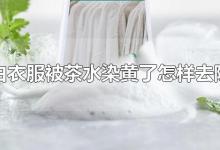 白衣服被茶水染黄了怎样去除