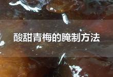 酸甜青梅的腌制方法