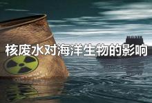 核废水对海洋生物的影响