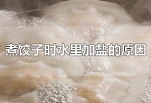 煮饺子时水里加盐的原因