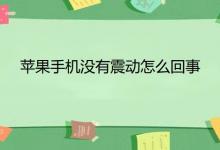 苹果手机没有震动怎么回事