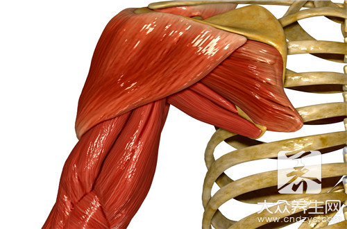胳膊肌肉酸痛抬不起来怎么回事 