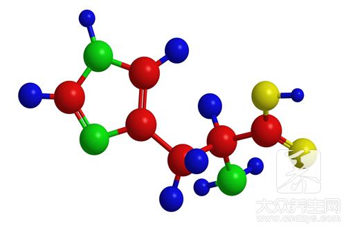 氨基丁酸功效作用有哪些