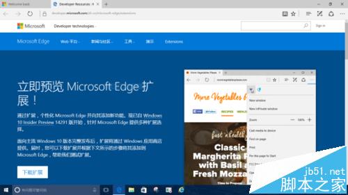 Win10系统中怎么给Edge浏览器添加翻译扩展插件?