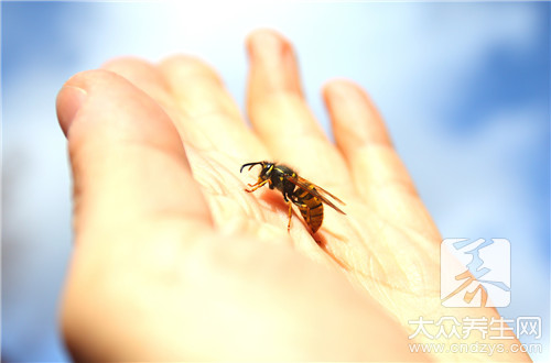 马蜂刺留在肉里会怎样