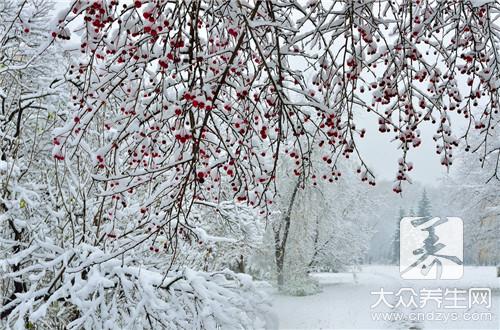 冬天的雪水有什么作用