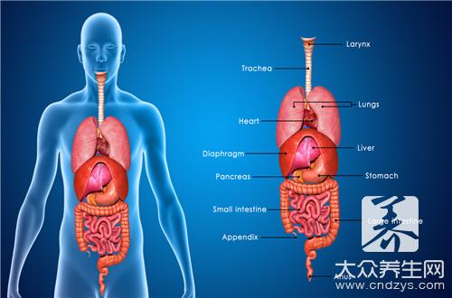 胆囊结石腹腔镜手术