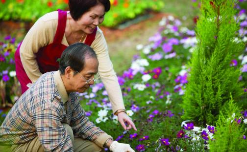 夏天是补肾好时机 中医教你冬病夏养养出好阳气