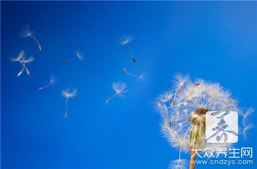 花叶滇苦菜是蒲公英吗