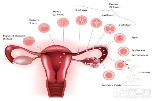 女人的这地方竟然越摸越健康 